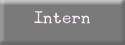 Intern